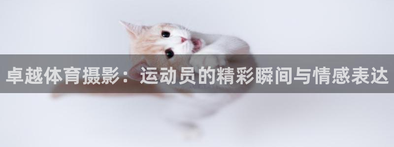 菲律宾ug环球官网：卓越体育摄影：运动员的精彩瞬间与情感表达
