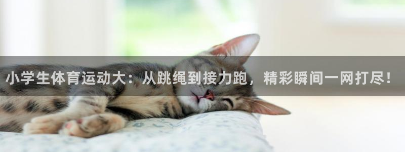 菲律宾ug环球官网：小学生体育运动大：从跳绳到接力跑，精彩瞬间一网打尽！