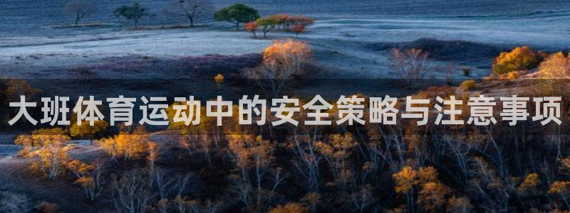 菲律宾ug环球官网：大班体育运动中的安全策略与注意事项