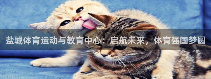 ug环球官网登录入口：盐城体育运动与教育中心：启航未来，体育强国梦圆