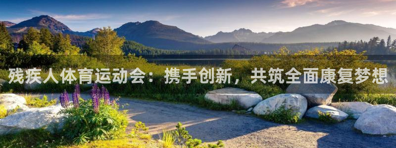 ug环球官网注册：残疾人体育运动会：携手创新，共筑全面康复梦想
