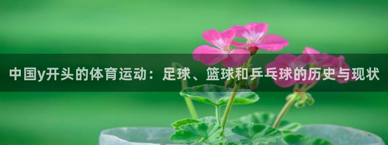 ug环球官网登录入口：中国y开头的体育运动：足球、篮球和乒乓球的历史与现状