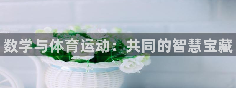 ug环球官网登录入口：数学与体育运动：共同的智慧宝藏