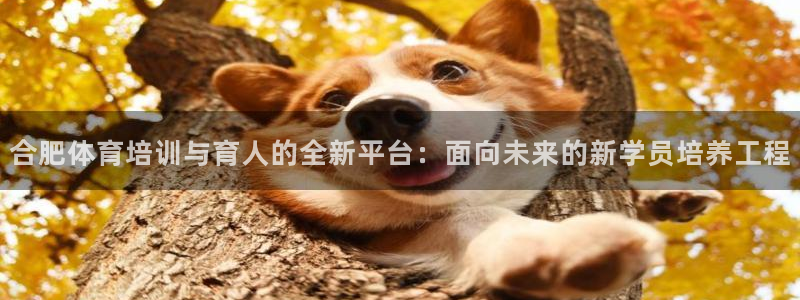 ug环球官网：合肥体育培训与育人的全新平台：面向未来的新学员培养工程