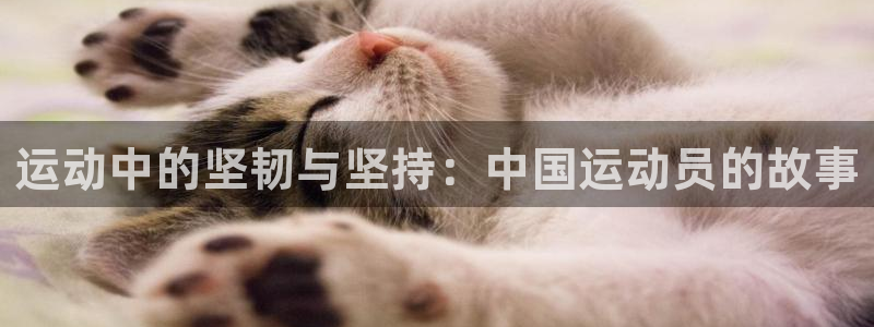 ug环球官网：运动中的坚韧与坚持：中国运动员的故事