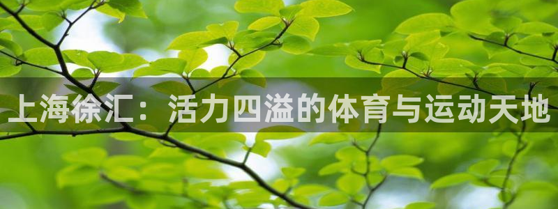 菲律宾ug环球官网：上海徐汇：活力四溢的体育与运动天地